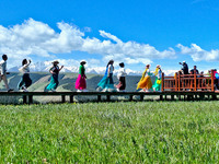 Tourists are enjoying snow-capped mountains, forests, and grasslands at the grassland section of Qilian Mountain National Park in Zhangye ci...