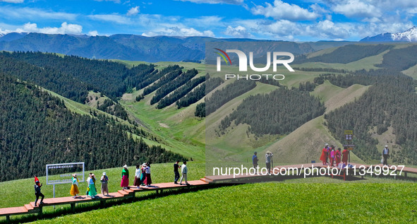 Tourists are enjoying snow-capped mountains, forests, and grasslands at the grassland section of Qilian Mountain National Park in Zhangye ci...