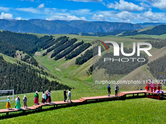 Tourists are enjoying snow-capped mountains, forests, and grasslands at the grassland section of Qilian Mountain National Park in Zhangye ci...