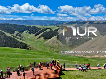 Tourists are enjoying snow-capped mountains, forests, and grasslands at the grassland section of Qilian Mountain National Park in Zhangye ci...