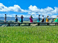 Tourists are enjoying snow-capped mountains, forests, and grasslands at the grassland section of Qilian Mountain National Park in Zhangye ci...