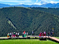 Tourists are enjoying snow-capped mountains, forests, and grasslands at the grassland section of Qilian Mountain National Park in Zhangye ci...