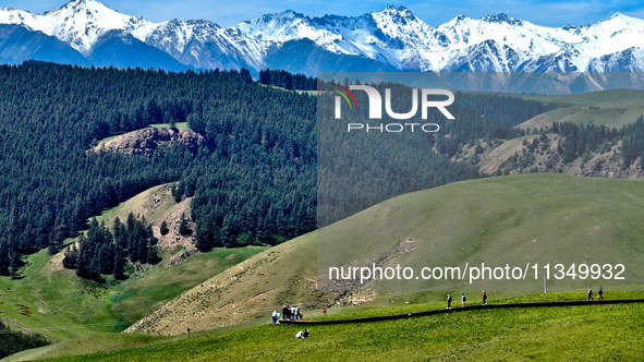 Tourists are enjoying snow-capped mountains, forests, and grasslands at the grassland section of Qilian Mountain National Park in Zhangye ci...