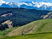 Tourists are enjoying snow-capped mountains, forests, and grasslands at the grassland section of Qilian Mountain National Park in Zhangye ci...