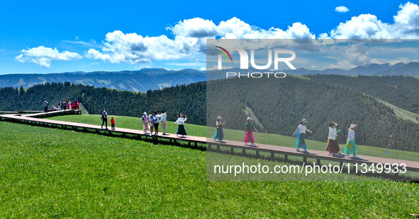 Tourists are enjoying snow-capped mountains, forests, and grasslands at the grassland section of Qilian Mountain National Park in Zhangye ci...