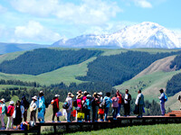 Tourists are enjoying snow-capped mountains, forests, and grasslands at the grassland section of Qilian Mountain National Park in Zhangye ci...