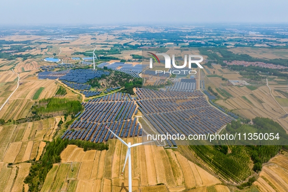 A general view of an agricultural 40 MW new energy photovoltaic power plant is being seen in the West Coast New Area of Qingdao, Shandong pr...