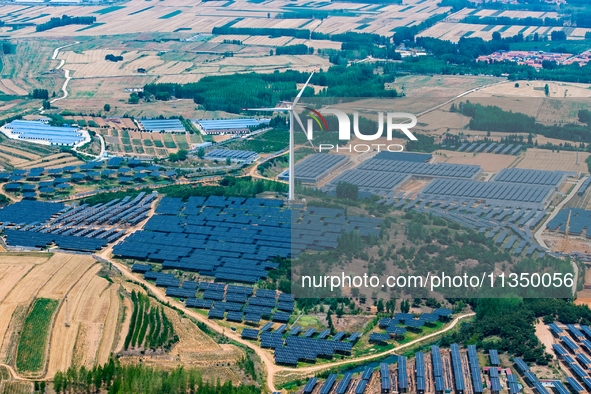 A general view of an agricultural 40 MW new energy photovoltaic power plant is being seen in the West Coast New Area of Qingdao, Shandong pr...