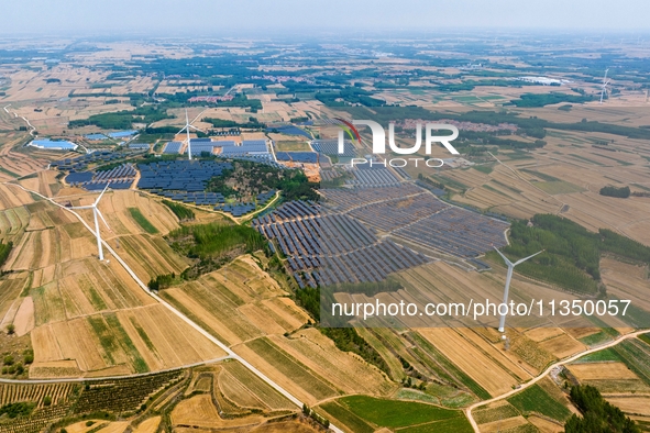 A general view of an agricultural 40 MW new energy photovoltaic power plant is being seen in the West Coast New Area of Qingdao, Shandong pr...