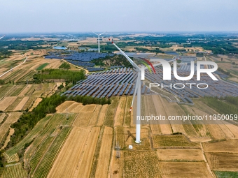 A general view of an agricultural 40 MW new energy photovoltaic power plant is being seen in the West Coast New Area of Qingdao, Shandong pr...