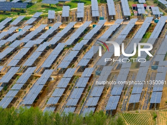 A general view of an agricultural 40 MW new energy photovoltaic power plant is being seen in the West Coast New Area of Qingdao, Shandong pr...