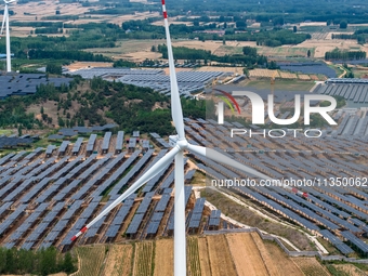 A general view of an agricultural 40 MW new energy photovoltaic power plant is being seen in the West Coast New Area of Qingdao, Shandong pr...