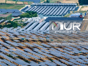 A general view of an agricultural 40 MW new energy photovoltaic power plant is being seen in the West Coast New Area of Qingdao, Shandong pr...