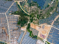 A general view of an agricultural 40 MW new energy photovoltaic power plant is being seen in the West Coast New Area of Qingdao, Shandong pr...