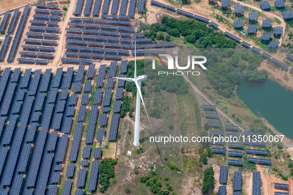 A general view of an agricultural 40 MW new energy photovoltaic power plant is being seen in the West Coast New Area of Qingdao, Shandong pr...