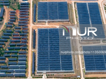 A general view of an agricultural 40 MW new energy photovoltaic power plant is being seen in the West Coast New Area of Qingdao, Shandong pr...