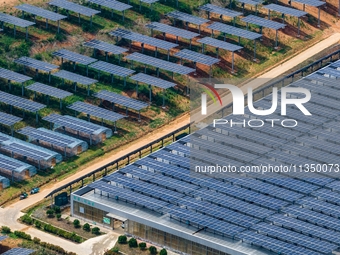 A general view of an agricultural 40 MW new energy photovoltaic power plant is being seen in the West Coast New Area of Qingdao, Shandong pr...