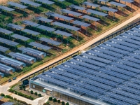 A general view of an agricultural 40 MW new energy photovoltaic power plant is being seen in the West Coast New Area of Qingdao, Shandong pr...