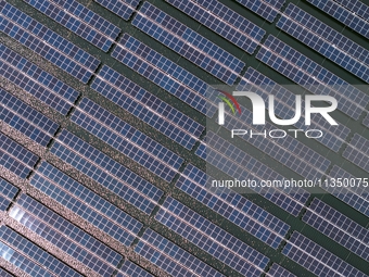 A general view of an agricultural 40 MW new energy photovoltaic power plant is being seen in the West Coast New Area of Qingdao, Shandong pr...