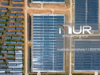 A general view of an agricultural 40 MW new energy photovoltaic power plant is being seen in the West Coast New Area of Qingdao, Shandong pr...