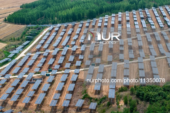 A general view of an agricultural 40 MW new energy photovoltaic power plant is being seen in the West Coast New Area of Qingdao, Shandong pr...