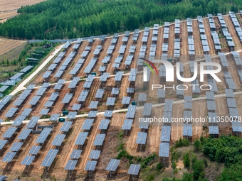 A general view of an agricultural 40 MW new energy photovoltaic power plant is being seen in the West Coast New Area of Qingdao, Shandong pr...