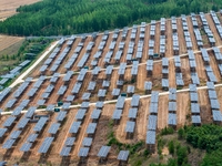 A general view of an agricultural 40 MW new energy photovoltaic power plant is being seen in the West Coast New Area of Qingdao, Shandong pr...