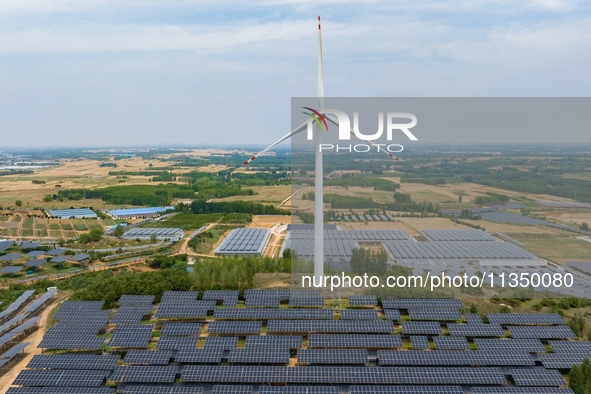 A general view of an agricultural 40 MW new energy photovoltaic power plant is being seen in the West Coast New Area of Qingdao, Shandong pr...