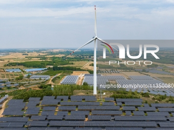 A general view of an agricultural 40 MW new energy photovoltaic power plant is being seen in the West Coast New Area of Qingdao, Shandong pr...