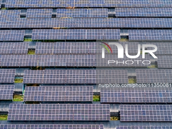 A general view of an agricultural 40 MW new energy photovoltaic power plant is being seen in the West Coast New Area of Qingdao, Shandong pr...