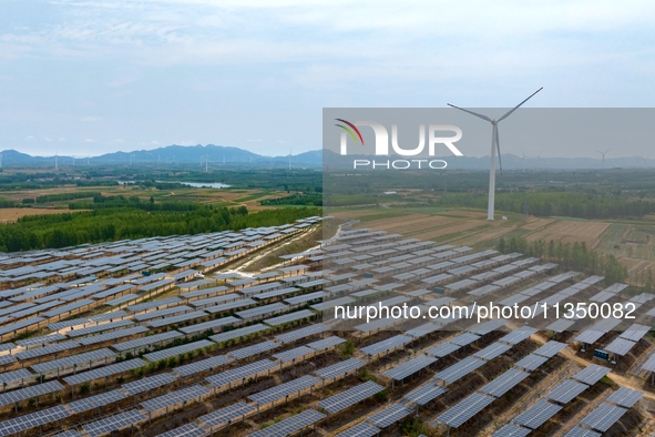 A general view of an agricultural 40 MW new energy photovoltaic power plant is being seen in the West Coast New Area of Qingdao, Shandong pr...