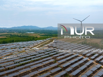 A general view of an agricultural 40 MW new energy photovoltaic power plant is being seen in the West Coast New Area of Qingdao, Shandong pr...