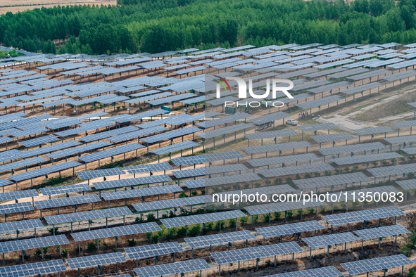 A general view of an agricultural 40 MW new energy photovoltaic power plant is being seen in the West Coast New Area of Qingdao, Shandong pr...