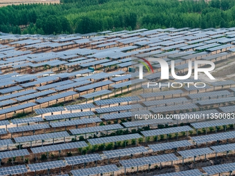 A general view of an agricultural 40 MW new energy photovoltaic power plant is being seen in the West Coast New Area of Qingdao, Shandong pr...