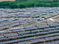 A general view of an agricultural 40 MW new energy photovoltaic power plant is being seen in the West Coast New Area of Qingdao, Shandong pr...