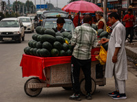 People are purchasing fruits on a cloudy day in Srinagar, Jammu and Kashmir, India, on June 22, 2024 (