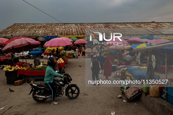 People are purchasing fruits on a cloudy day in Srinagar, Jammu and Kashmir, India, on June 22, 2024 