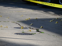 Shell casings are being located at the crime scene. A 34-year-old male victim is being shot multiple times and killed in Chicago, Illinois,...