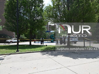 A 44-year-old male victim is being shot multiple times and killed in broad daylight at the Dearborn Homes Playground in Chicago, Illinois, U...