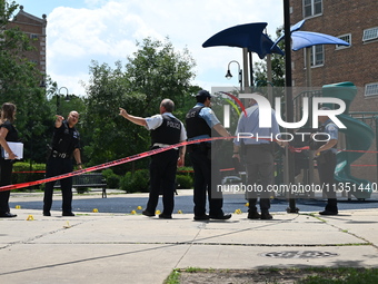 A 44-year-old male victim is being shot multiple times and killed in broad daylight at the Dearborn Homes Playground in Chicago, Illinois, U...