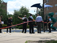 A 44-year-old male victim is being shot multiple times and killed in broad daylight at the Dearborn Homes Playground in Chicago, Illinois, U...