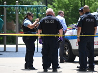 A 44-year-old male victim is being shot multiple times and killed in broad daylight at the Dearborn Homes Playground in Chicago, Illinois, U...