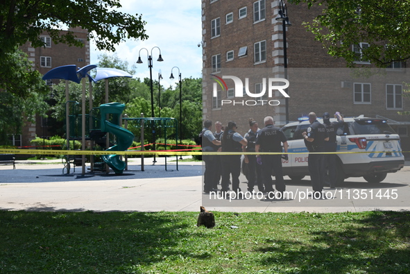 A 44-year-old male victim is being shot multiple times and killed in broad daylight at the Dearborn Homes Playground in Chicago, Illinois, U...