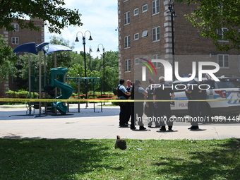 A 44-year-old male victim is being shot multiple times and killed in broad daylight at the Dearborn Homes Playground in Chicago, Illinois, U...