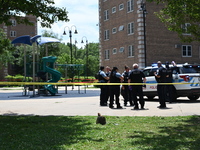 A 44-year-old male victim is being shot multiple times and killed in broad daylight at the Dearborn Homes Playground in Chicago, Illinois, U...