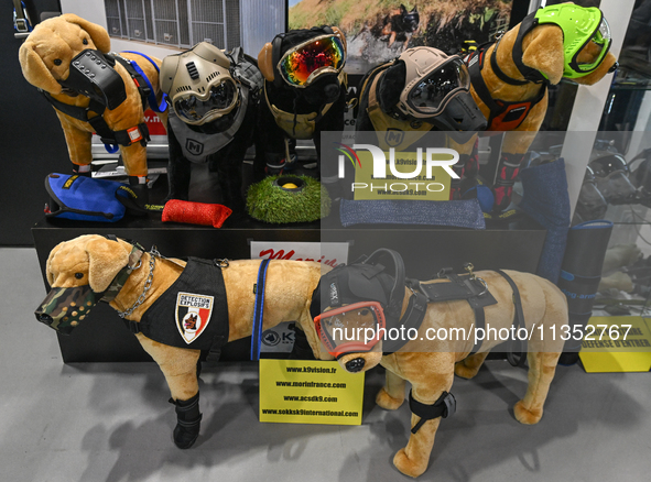 VILLEPINTE, FRANCE - JUNE 21: 
Special equipment on display for police and military dogs, at the Eurosatory Defense and Security expo in, on...