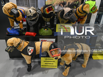 VILLEPINTE, FRANCE - JUNE 21: 
Special equipment on display for police and military dogs, at the Eurosatory Defense and Security expo in, on...