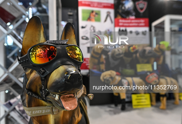 VILLEPINTE, FRANCE - JUNE 21: 
Special equipment on display for police and military dogs, at the Eurosatory Defense and Security expo in, on...