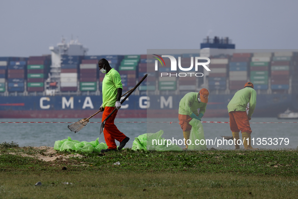 Workers are scooping up oil-stained sand at East Coast Park beach in Singapore, on June 23, 2024. Singapore authorities are continuing clean...