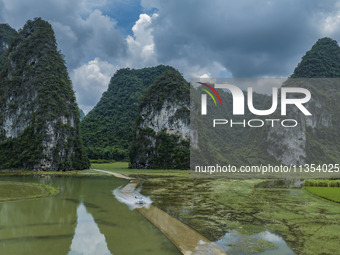 Vehicles are driving on a ''water highway'' formed by floods along a rural road in Chongzuo, China, on June 23, 2024. (